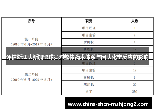 评估浙江队新加盟球员对整体战术体系与团队化学反应的影响
