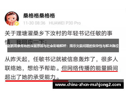 赵鹏现象背后的深层原因与社会影响解析：揭示欠薪问题的复杂性与解决路径