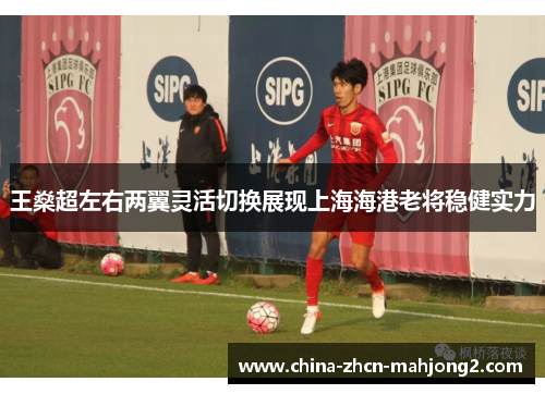 王燊超左右两翼灵活切换展现上海海港老将稳健实力